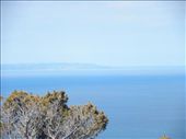 There's Slope Point in the distance, we were just there the other day. Southern point of the South Island.: by taylortreks, Views[288]