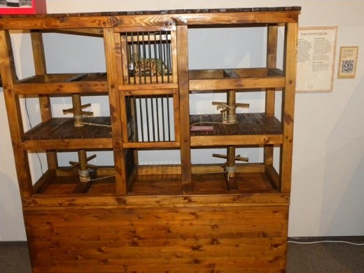 Roman elevators. So that's how they got the animals into the arena!