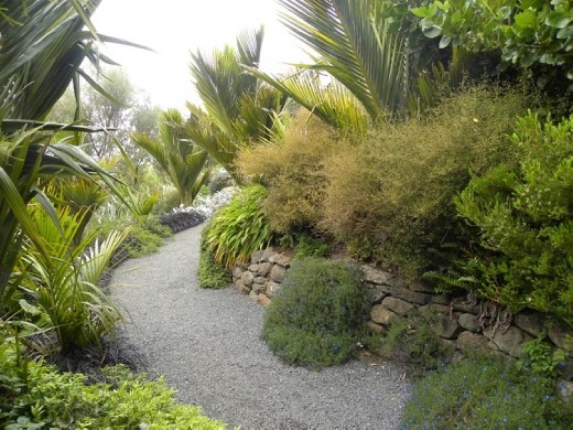 Lots of lovely fragrant plants.