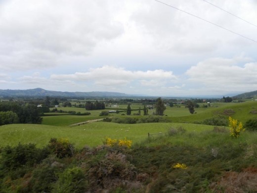 This looks like Ireland!