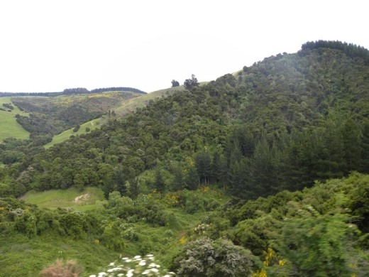 Starting the climb into the hills...