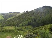 Starting the climb into the hills...: by taylortreks, Views[292]