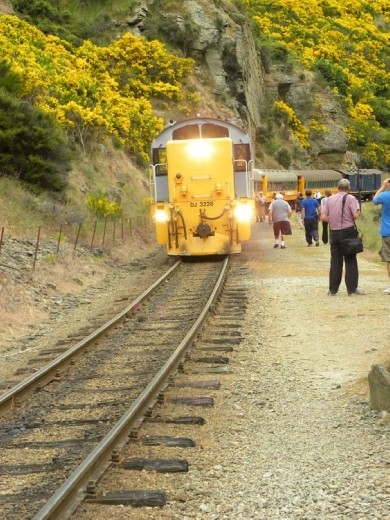 Woooo- wooooo! Time to get back on the train!