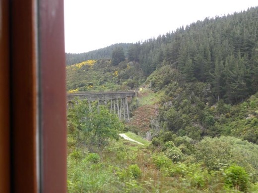Good thing the train doesn't stop on the Wingatui Viaduct!