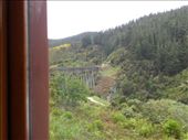 Good thing the train doesn't stop on the Wingatui Viaduct!: by taylortreks, Views[276]
