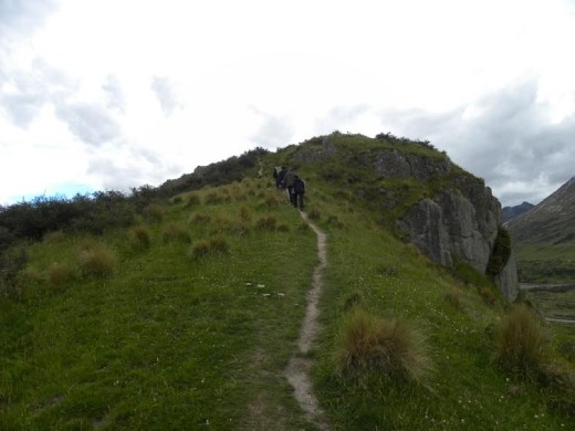 I should have been a mountain goat!