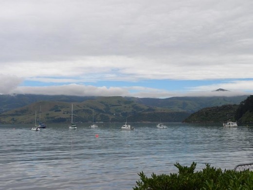 But we kept an eye out breaks in the clouds as a harbinger of a better afternoon for our dolphin cruise!
