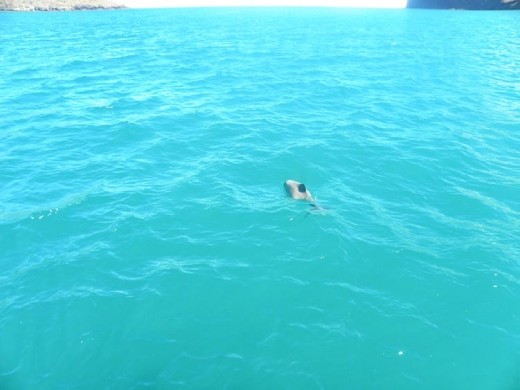 But then he came closer.