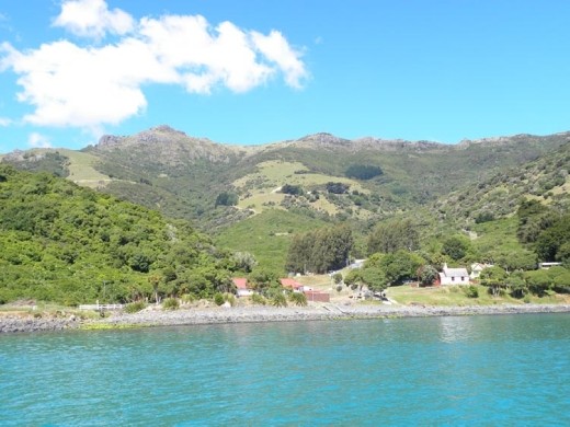 This Maori village is tucked away in a secluded bay on the south end of Akaroa harbor.