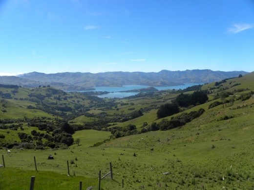 Last view of Akaroa as we climbed out. Bye-bye!