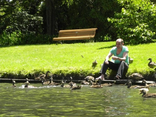 Other ducks go for the easy food from the softies on the banks.