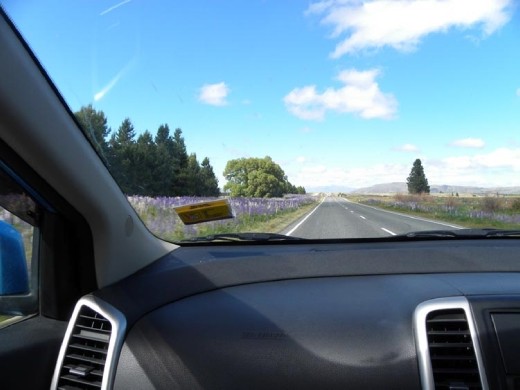 We LOVE having sunshine and blue sky on moving day.