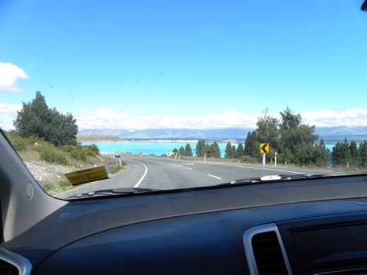 Lake Tekapo was crowded with water-loving kiwis.