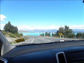 Lake Tekapo was crowded with water-loving kiwis.: by taylortreks, Views[230]