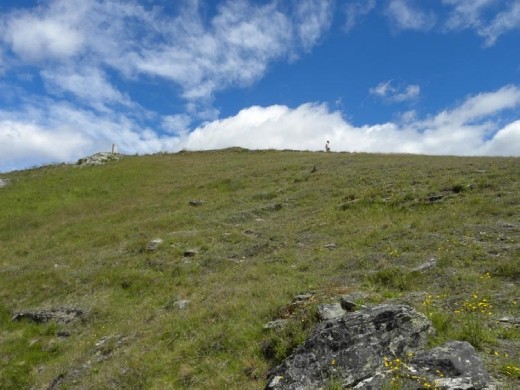 But it was a loooooong climb back up to the car!
