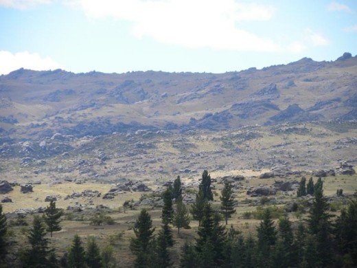 Can you imagine clearing all those rocks to plant ANYTHING?
