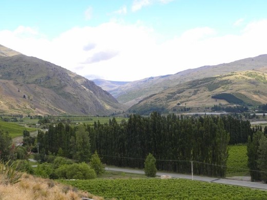 BEST view from a winery goes to Mt Difficulty Winery. We stood in awe for a looooooong time!