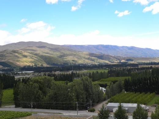 More views from Mt Difficulty Winery.