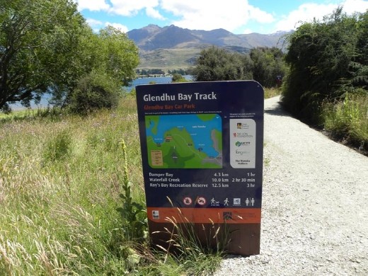 Glendhu Bay was just up the road from Wanaka.