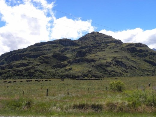 What about now? Try to picture it as brown and you might have better luck. This is the area where our heroes take a break; Boromir teaches the Hobbits to use their swords and Legolas spots the 