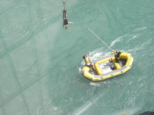 This doesn't look like a dignified way to be let loose...