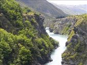 We had a great view of the Kawarau Gorge from the middle of the bridge.: by taylortreks, Views[225]