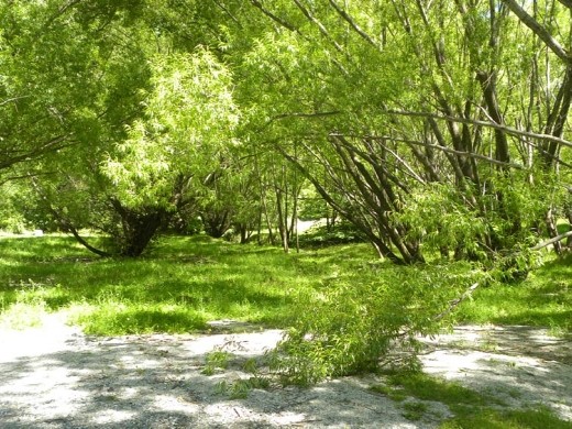 This is where Isildur was killed. This part was in the prologue of the first movie. It was filmed in winter, so you'll have to use your imagination...