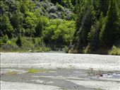 This is the ford where Arwen protected Frodo from the black riders. And turned the river into horses to drown them. More imagination required!: by taylortreks, Views[316]