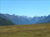 The-majestic Southern Alps rise above the Eglington River valley.: by taylortreks, Views[157]