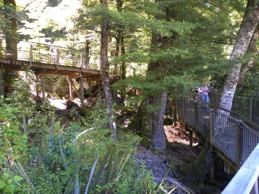 Raised walkways are used all over NZ to keep the environment safe from our feet. In this case it also gets us in good position for those mirror shots.