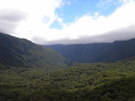 A great view of Hollyford Valley.