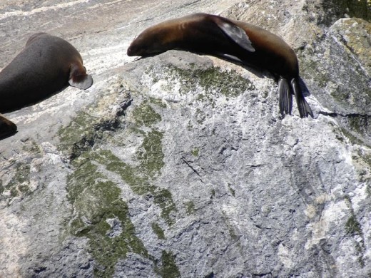 Don't bother me! Can't you see I'm sleeping?!