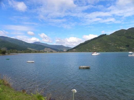 At Grove Arm, you can get right up on the water. Well, not 