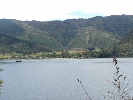 There are many little communities nestled on the sound.