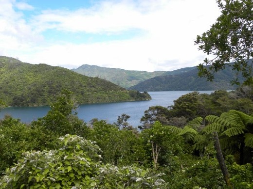 Trees and vegetation along the road have grown considerably since our 2005 trip. Now it's hard to find a spot to stop and look out on the sound. In 2005, the whole road had an unobstructed view of the sound!