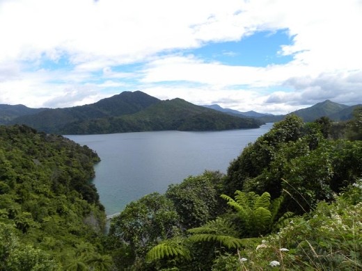 But you can still find incredible views, especially if you can find a perch up high.