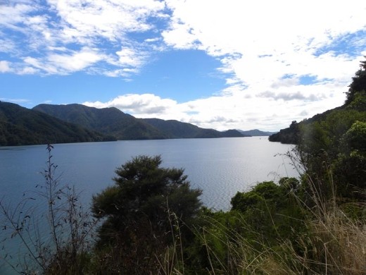 This view looks up Queen Charlotte Sound from near Ngatuka Bay.