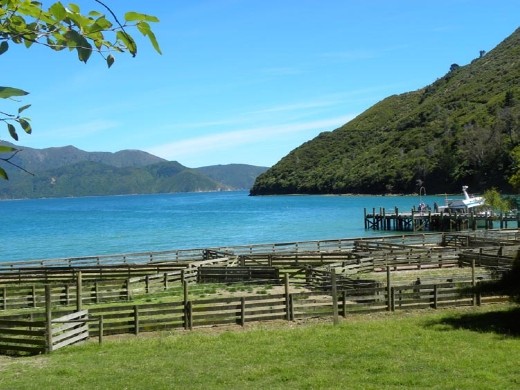 You may be away from it all here, but you have a great view out your front yard!