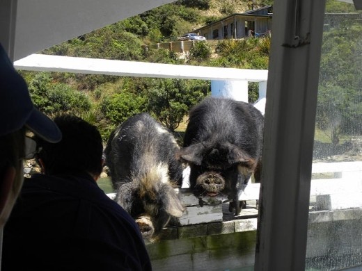 These boys greeted us at our third stop. The sea 