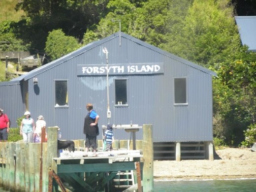 Our last stop was at Forsyth Island. Many times people are waiting at the docks to receive or post their mail. Or just trade some gossip.