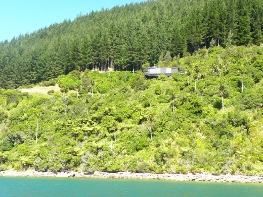 Maybe the owner wanted a tropical feel next to his box house. The sections were built in 