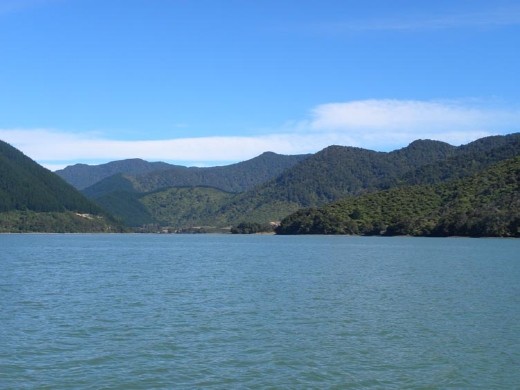 A view up Kenepuru Sound.