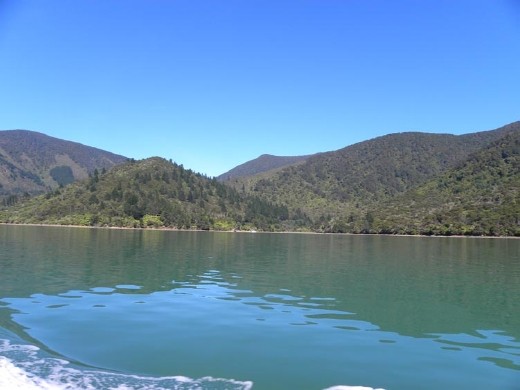 On our way out, the water was near dead calm.