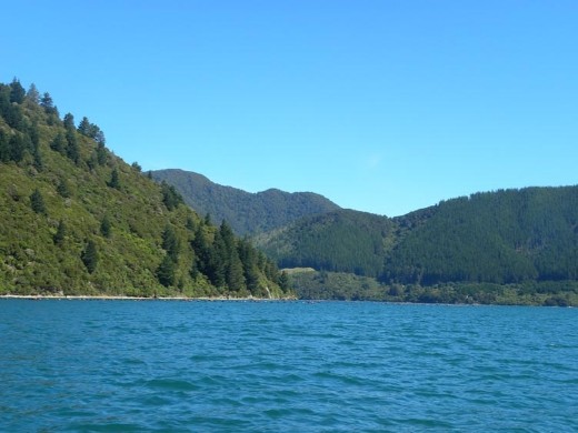 Wooded landscape dominated the terrain near Havelock.