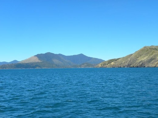 The terrain became more rocky near the mouth of the sound.