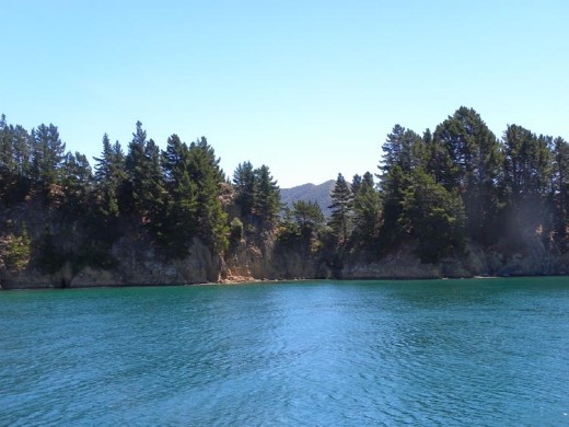 The views were great whether you were up close...