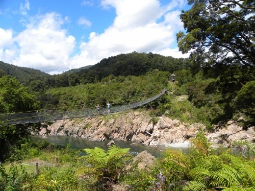 The Buller Gorge Swingbridge, at 160 meters, is the longest in New Zealand.