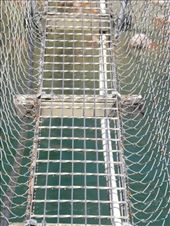 Especially since it was open mesh, with a view straight down to the river!: by taylortreks, Views[275]