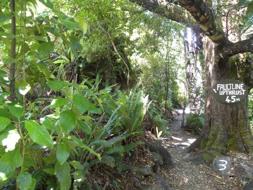 Much was made of the ground displacement from the earthquake.