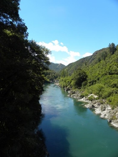 The Buller River flows gently through the rocky gorge. At this point...